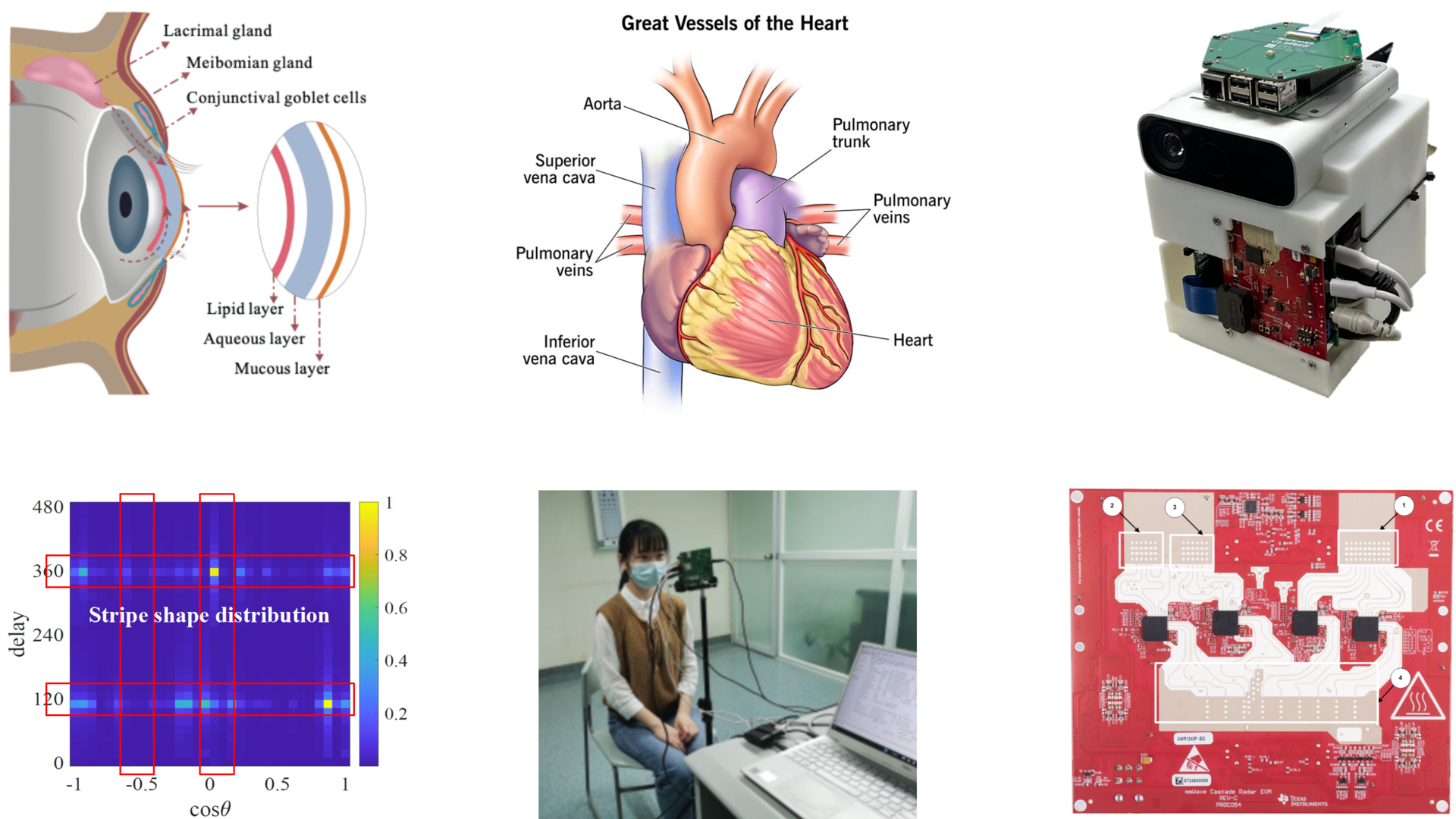 mmWave in Healthcare