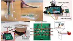 Spectroscopy for Food